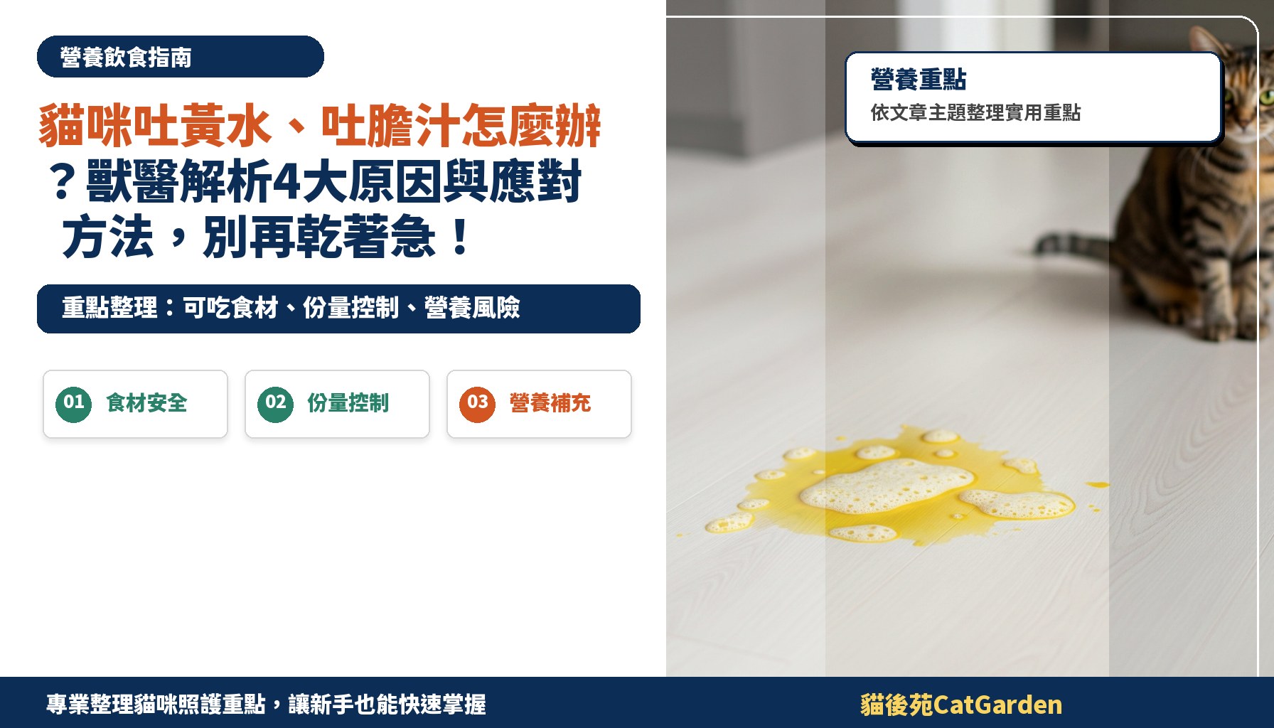 貓咪吐黃水、吐膽汁怎麼辦？獸醫解析4大原因與應對方法，別再乾著急！