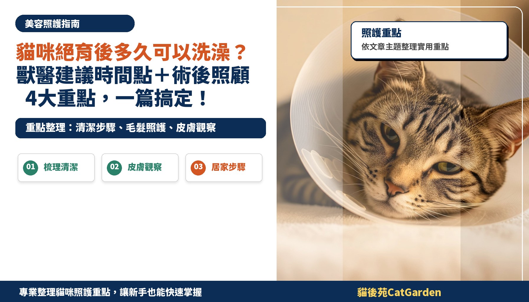 貓咪絕育後多久可以洗澡？獸醫建議時間點＋術後照顧4大重點，一篇搞定！