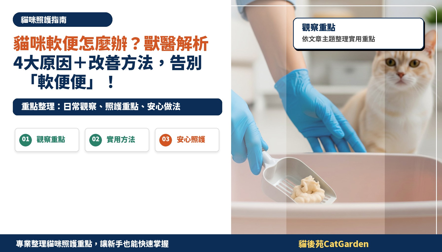 貓咪軟便怎麼辦？獸醫解析4大原因＋改善方法，告別「軟便便」！