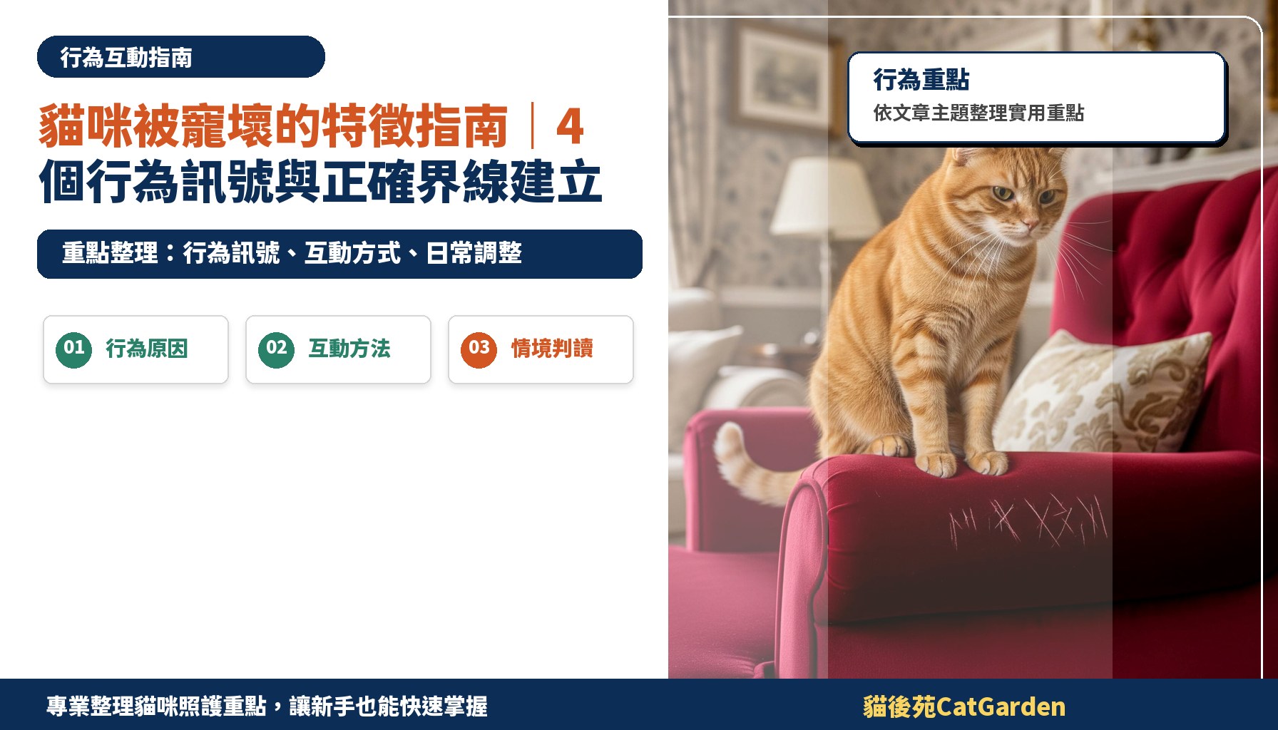 貓咪被寵壞的特徵指南｜4 個行為訊號與正確界線建立