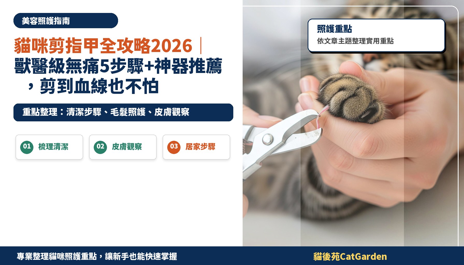 貓咪剪指甲全攻略2026｜獸醫級無痛5步驟+神器推薦，剪到血線也不怕