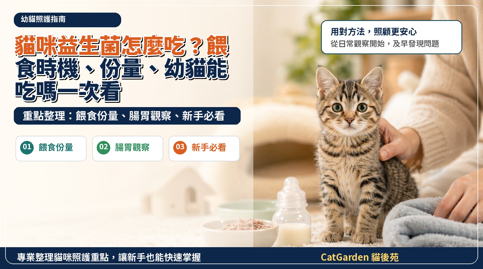 貓咪益生菌怎麼吃？餵食時機、份量、幼貓能吃嗎一次看 封面圖