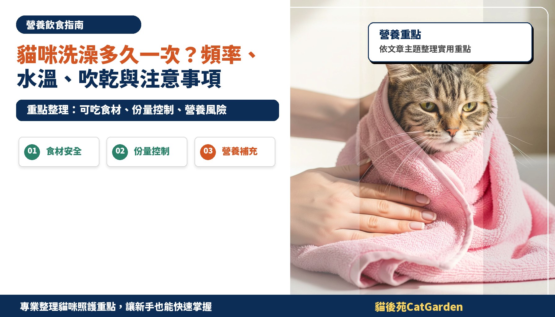 貓咪洗澡多久一次？頻率、水溫、吹乾與注意事項