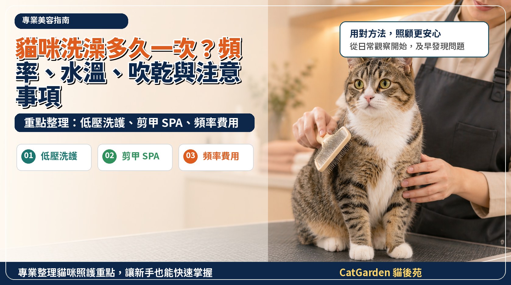 貓咪洗澡多久一次？頻率、水溫、吹乾與注意事項 封面圖