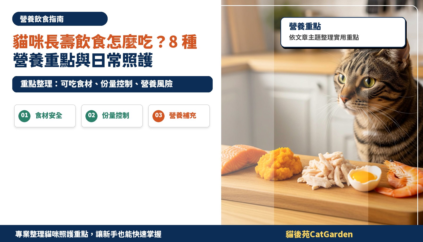 貓咪長壽飲食怎麼吃？8 種營養重點與日常照護