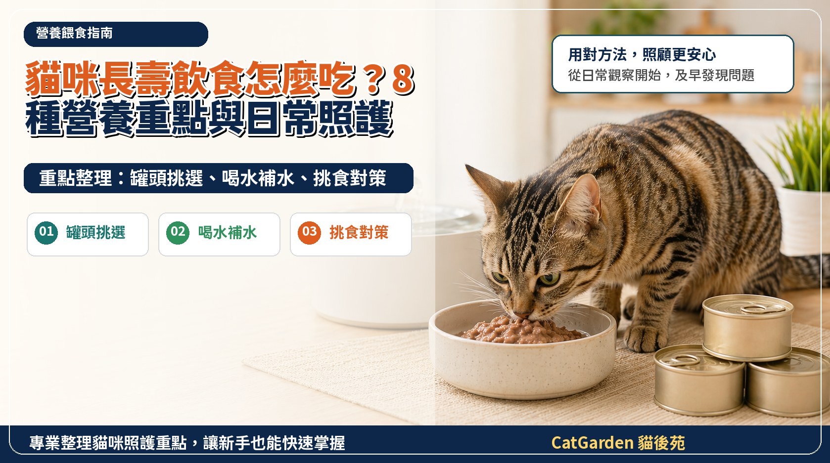 貓咪長壽飲食怎麼吃？8 種營養重點與日常照護 封面圖