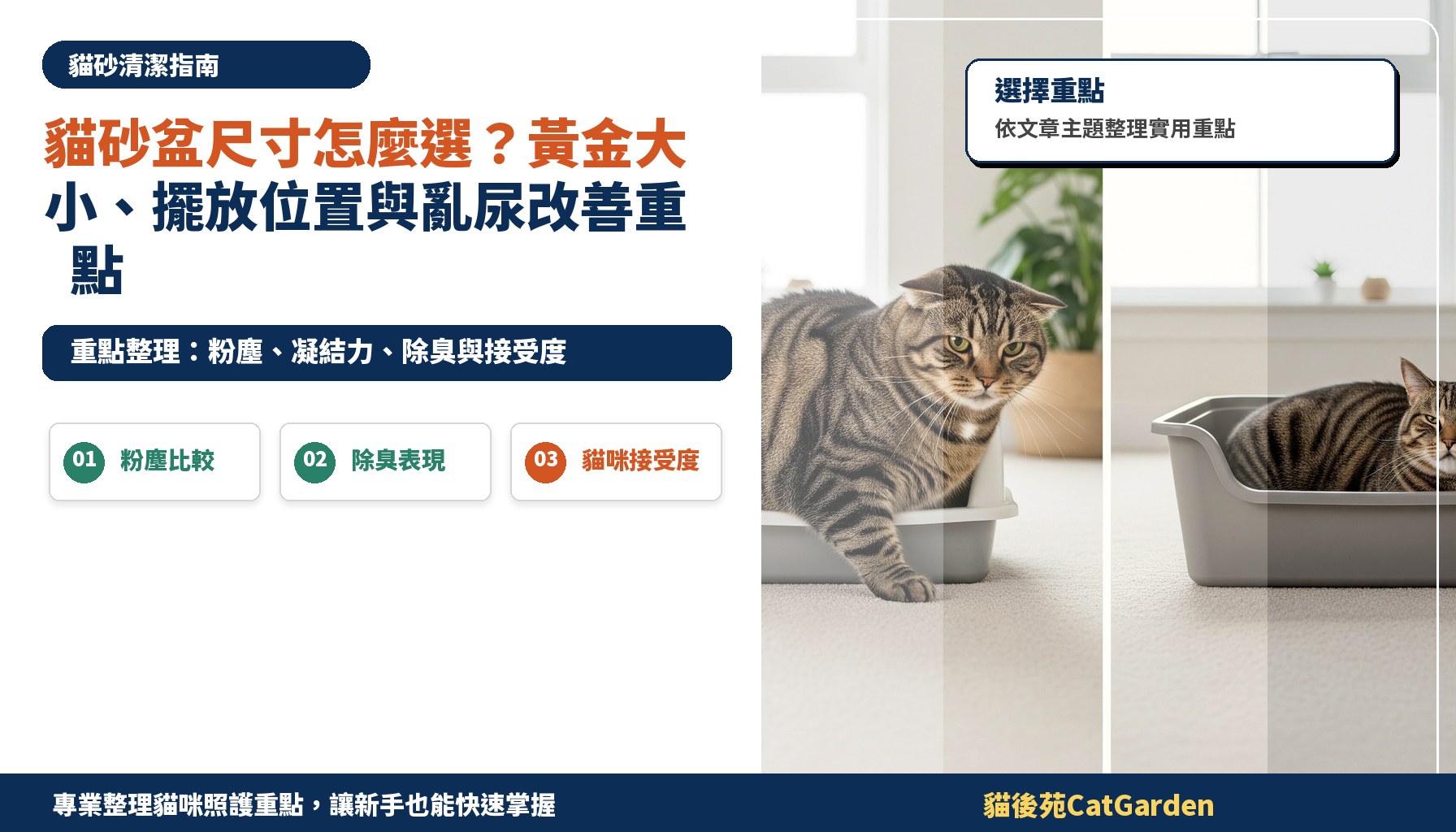 貓砂盆尺寸怎麼選？黃金大小、擺放位置與亂尿改善重點