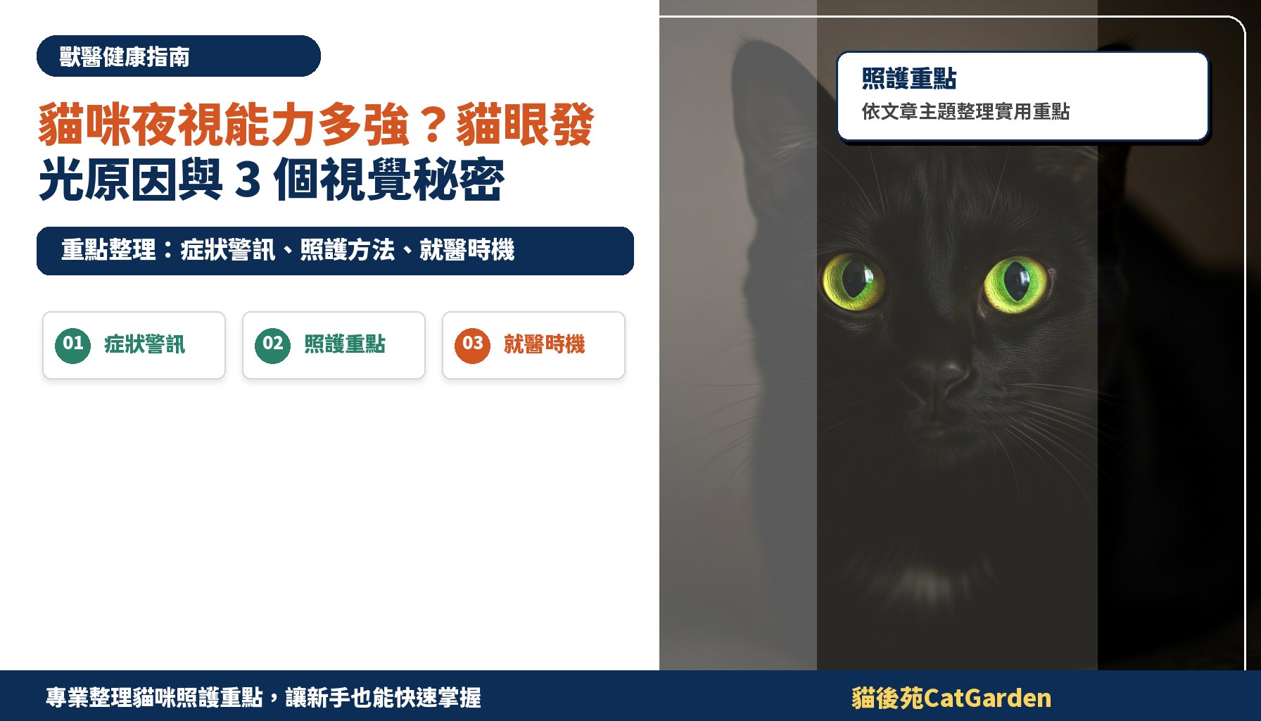 貓咪夜視能力多強？貓眼發光原因與 3 個視覺秘密