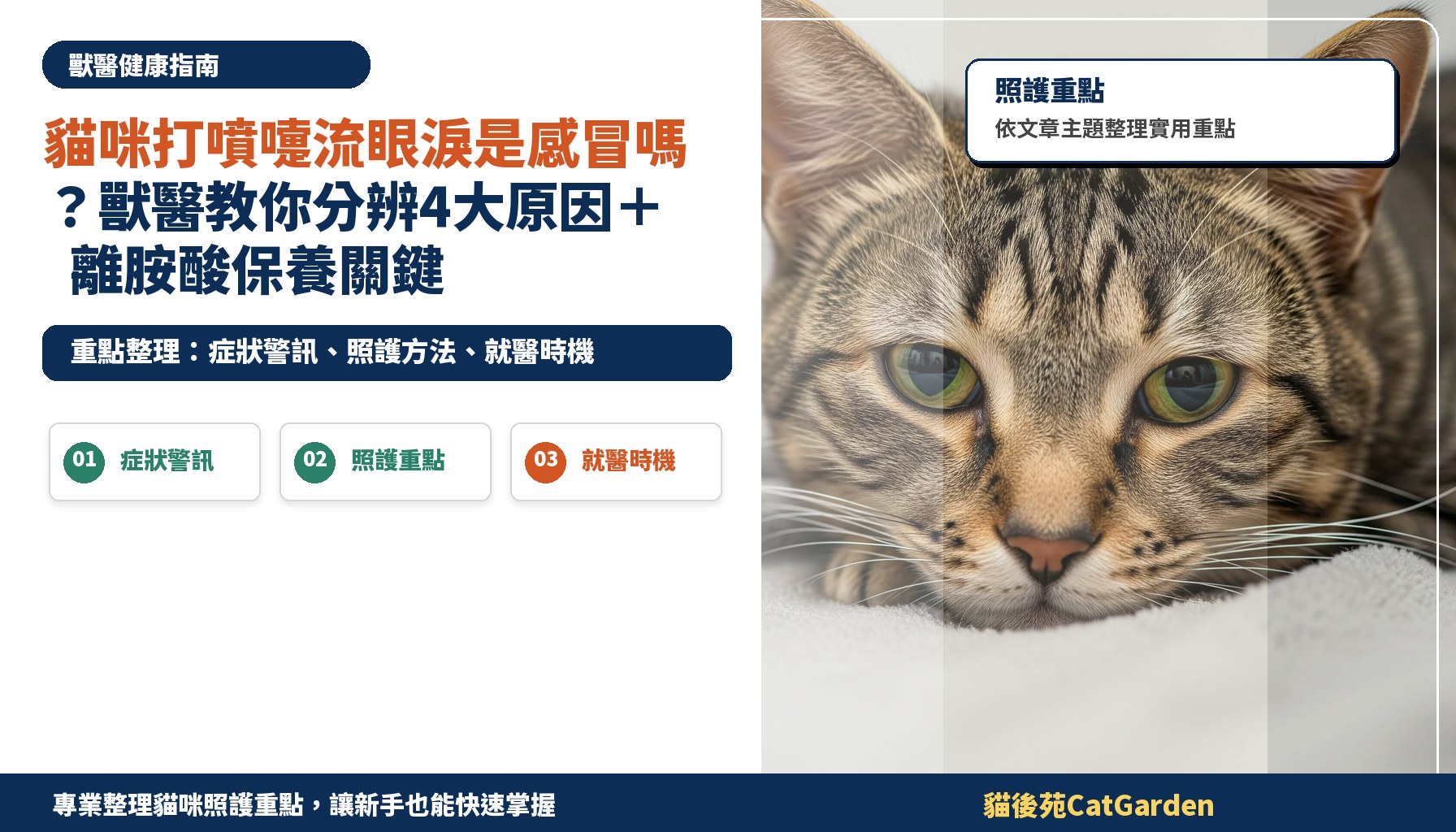 貓咪打噴嚏流眼淚是感冒嗎？獸醫教你分辨4大原因＋離胺酸保養關鍵