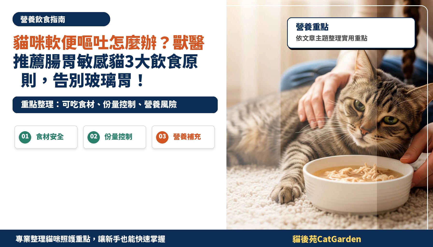 貓咪軟便嘔吐怎麼辦？獸醫推薦腸胃敏感貓3大飲食原則，告別玻璃胃！