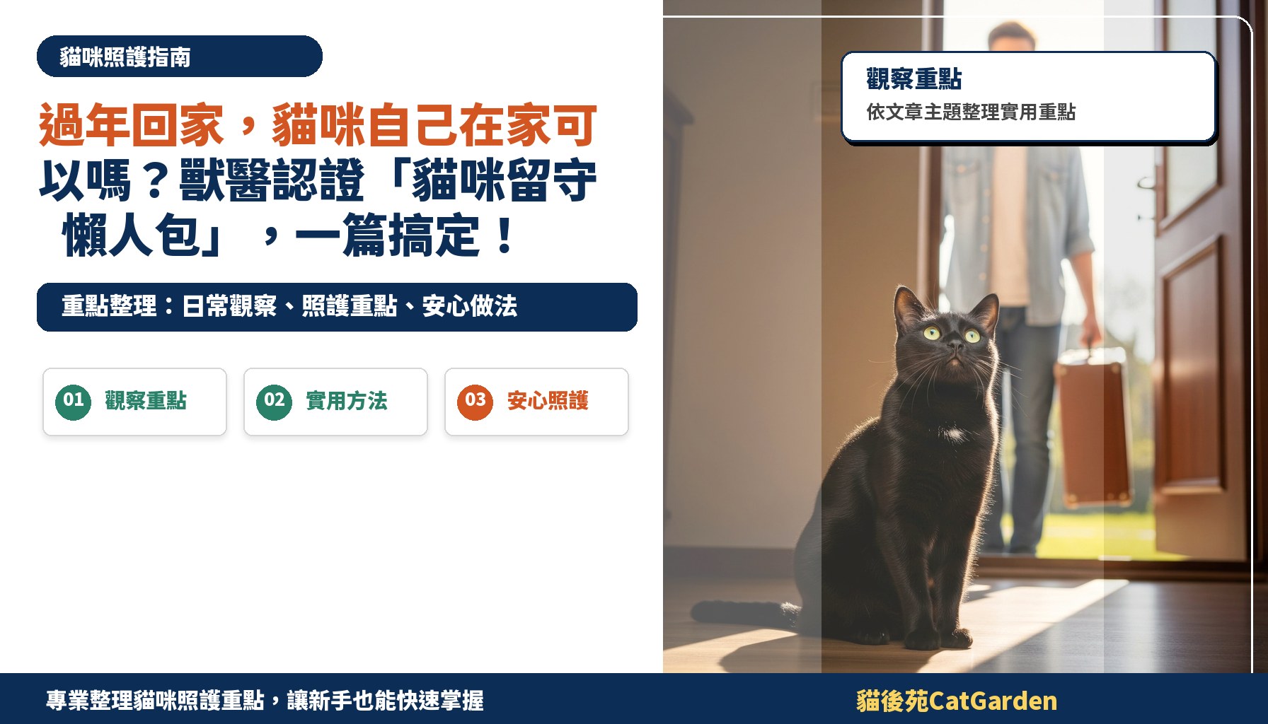 過年回家，貓咪自己在家可以嗎？獸醫認證「貓咪留守懶人包」，一篇搞定！