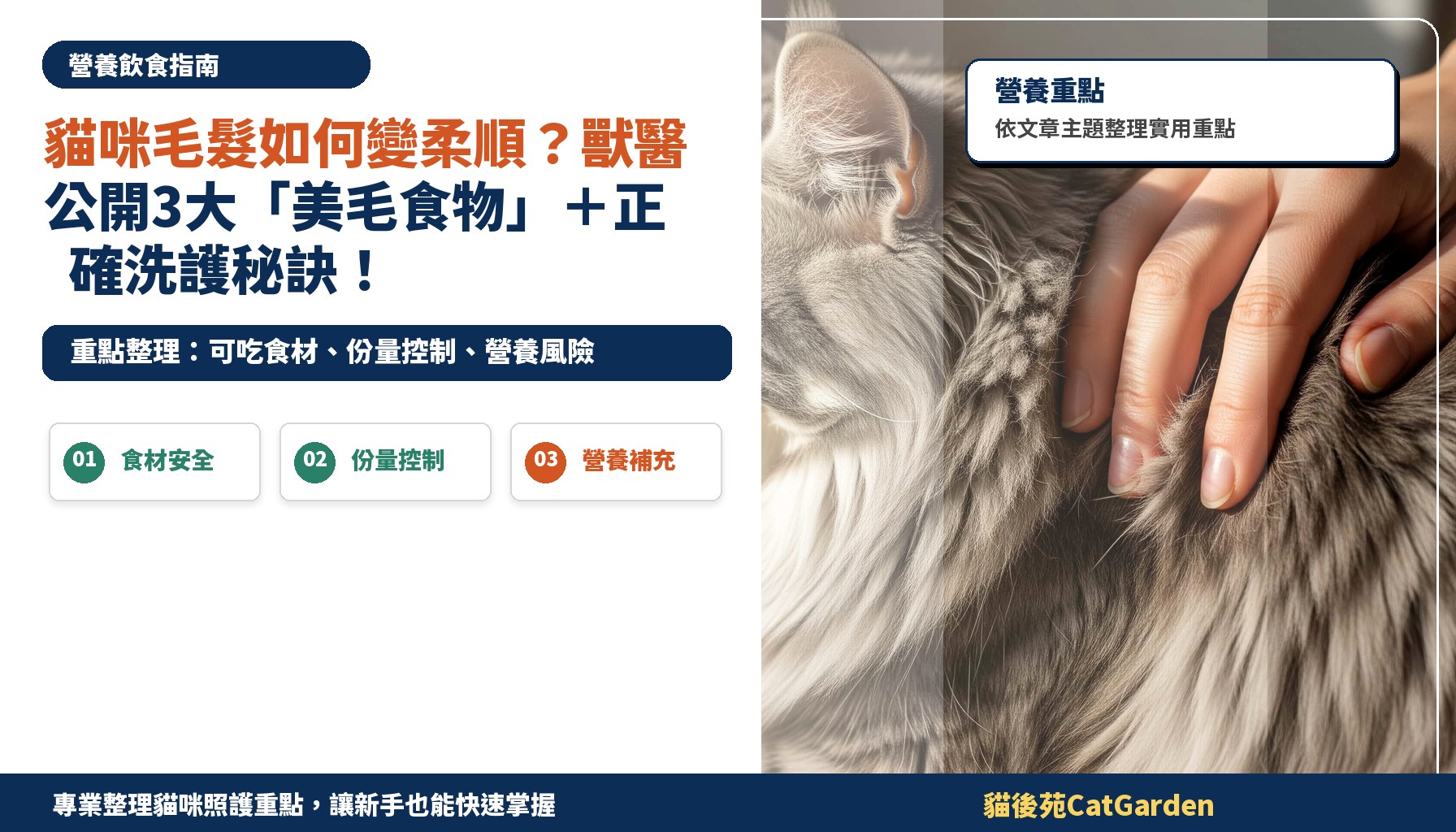 貓咪毛髮如何變柔順？獸醫公開3大「美毛食物」＋正確洗護秘訣！