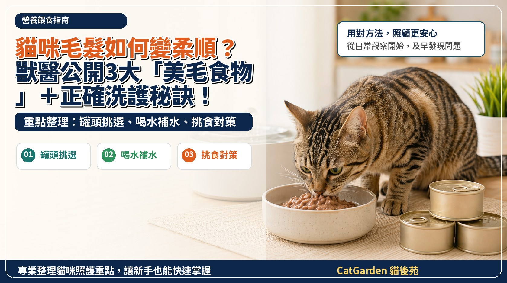 貓咪毛髮如何變柔順？獸醫公開3大「美毛食物」＋正確洗護秘訣！ 封面圖