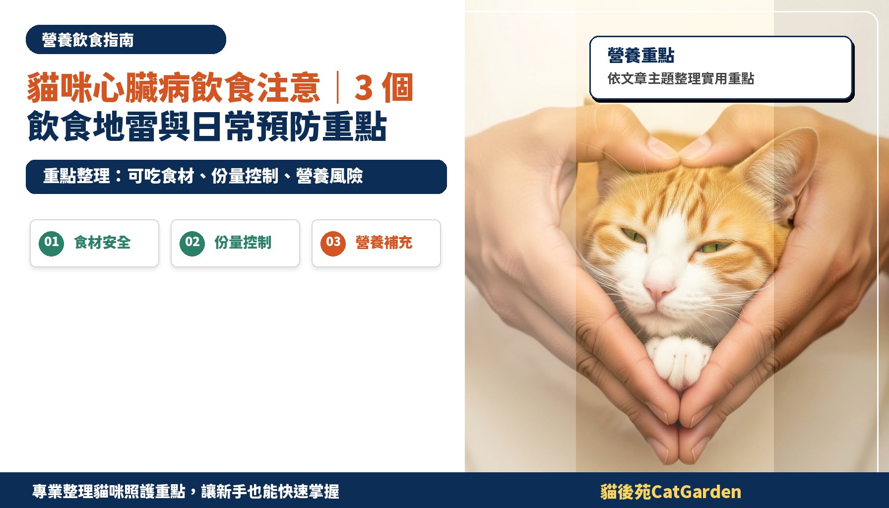 貓咪心臟病飲食注意｜3 個飲食地雷與日常預防重點