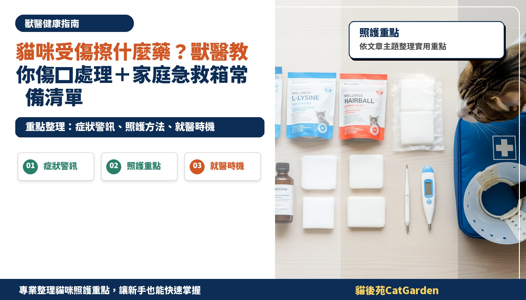 貓咪受傷擦什麼藥？獸醫教你傷口處理＋家庭急救箱常備清單