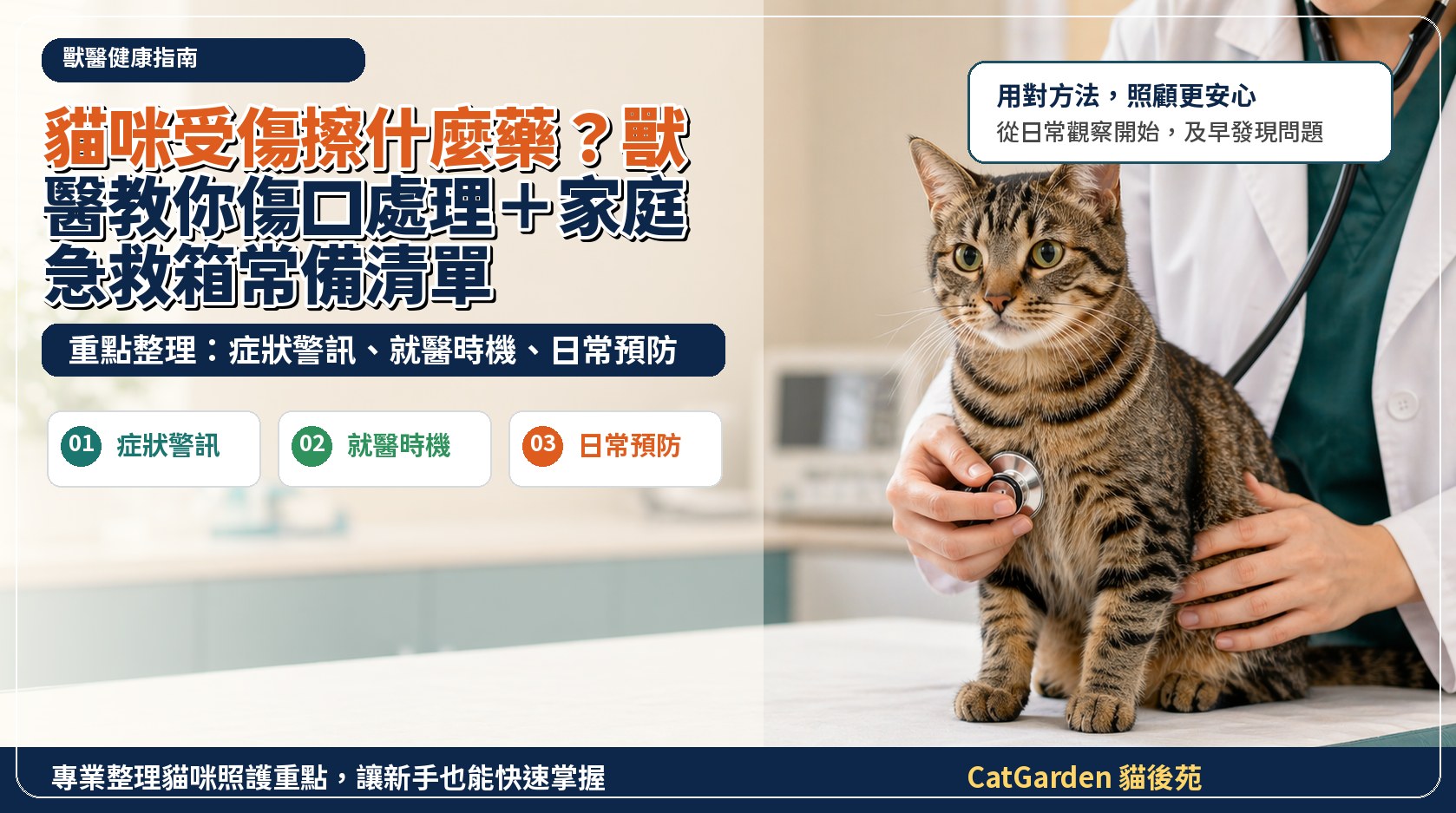 貓咪受傷擦什麼藥？獸醫教你傷口處理＋家庭急救箱常備清單 封面圖