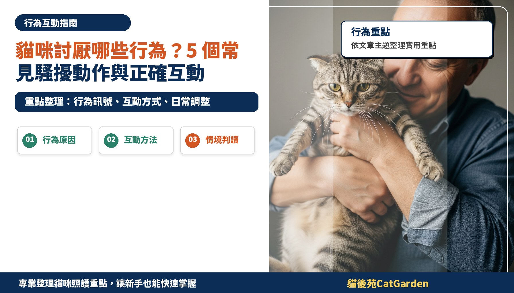 貓咪討厭哪些行為？5 個常見騷擾動作與正確互動