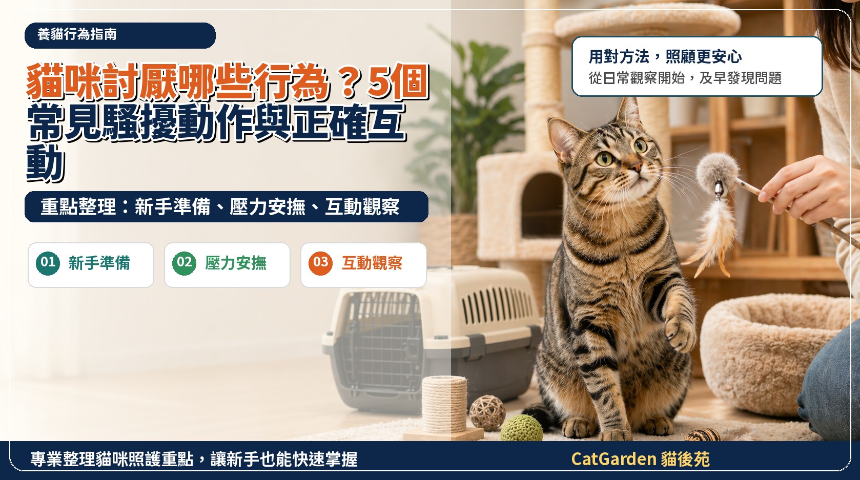 貓咪討厭哪些行為？5 個常見騷擾動作與正確互動 封面圖