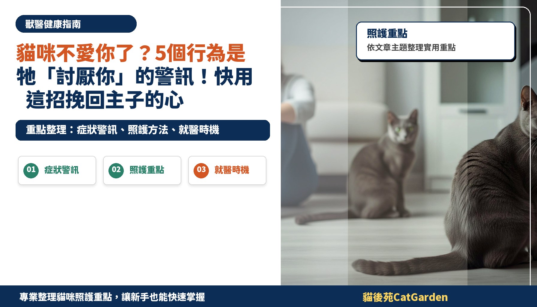 貓咪不愛你了？5個行為是牠「討厭你」的警訊！快用這招挽回主子的心