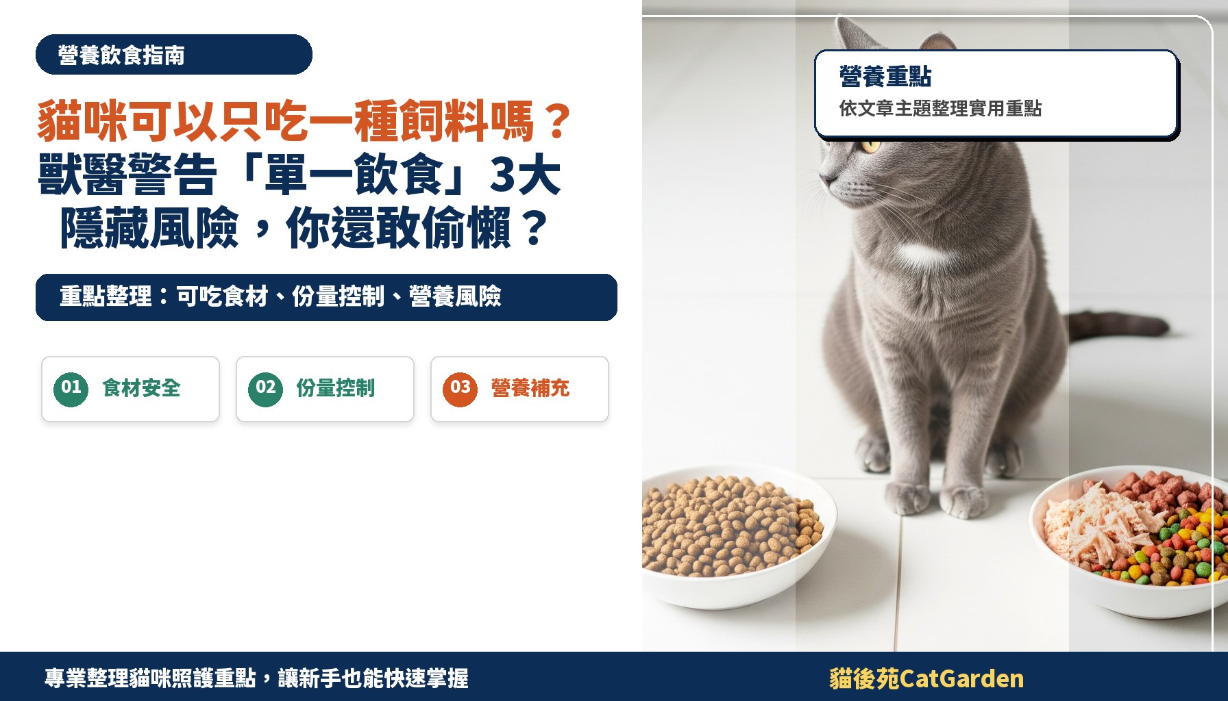 貓咪可以只吃一種飼料嗎？獸醫警告「單一飲食」3大隱藏風險，你還敢偷懶？