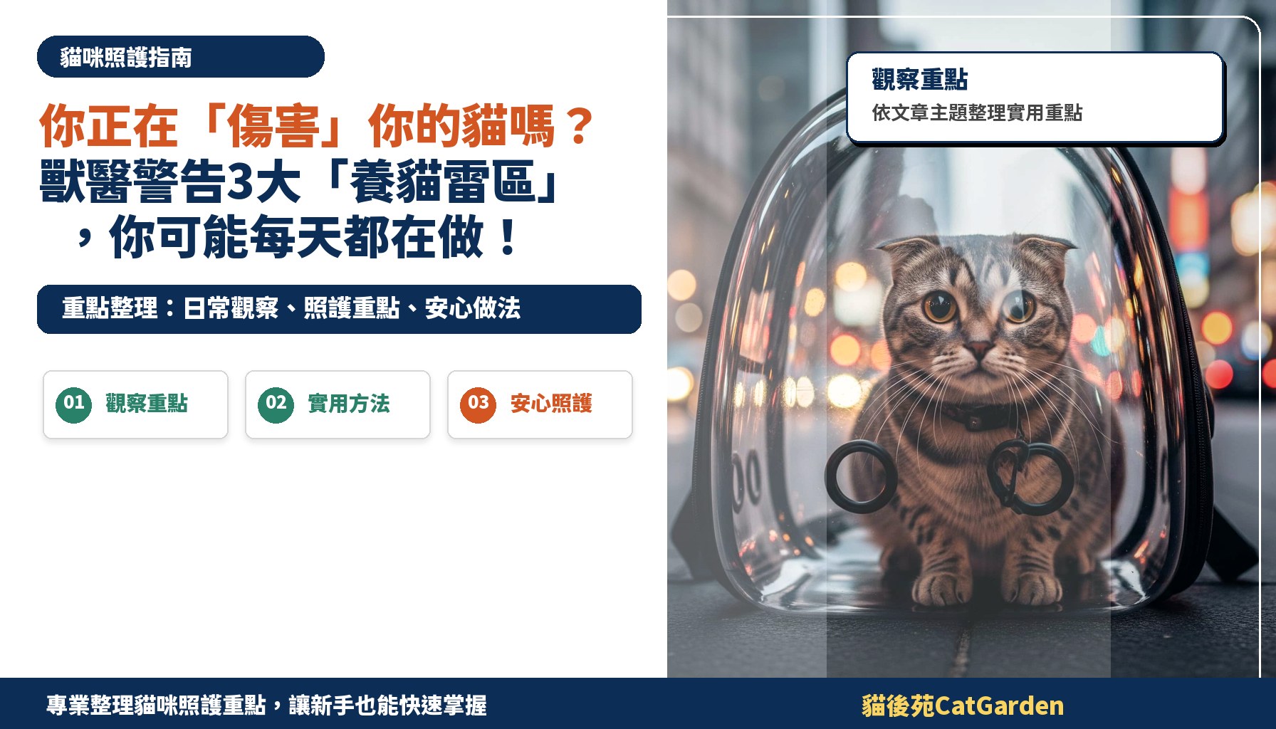 你正在「傷害」你的貓嗎？獸醫警告3大「養貓雷區」，你可能每天都在做！