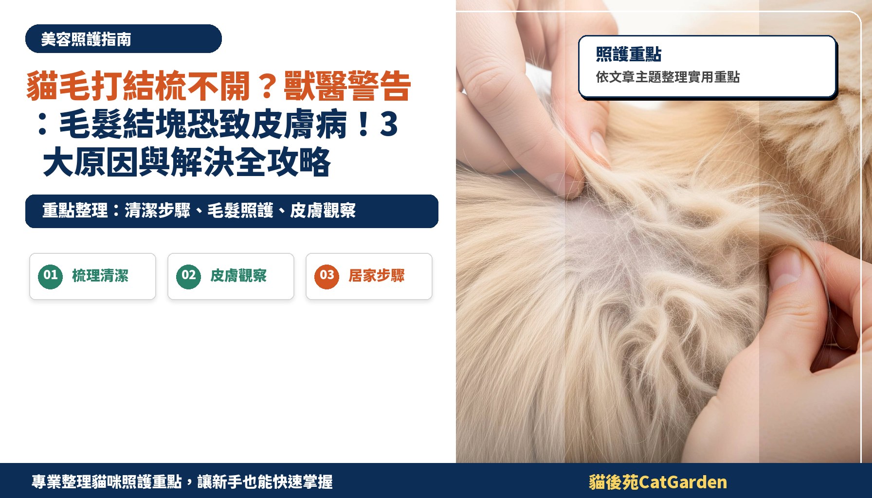 貓毛打結梳不開？獸醫警告：毛髮結塊恐致皮膚病！3大原因與解決全攻略