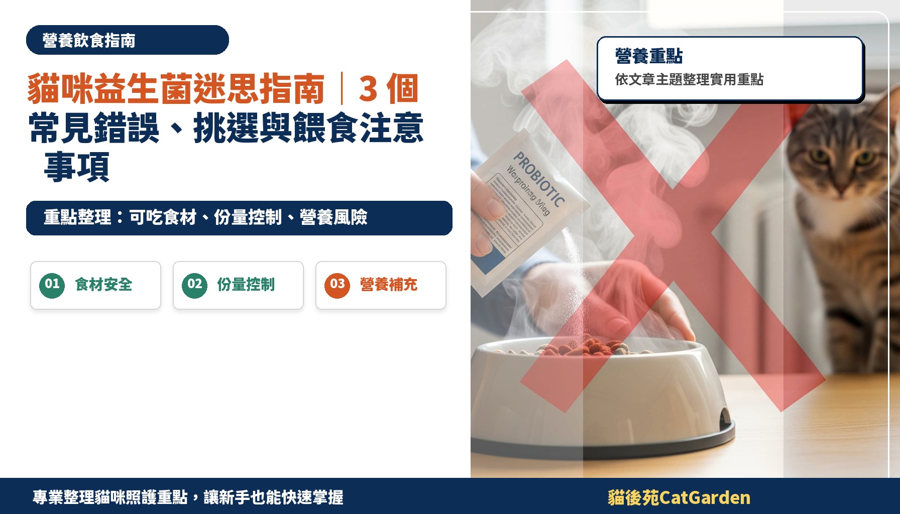 貓咪益生菌迷思指南｜3 個常見錯誤、挑選與餵食注意事項