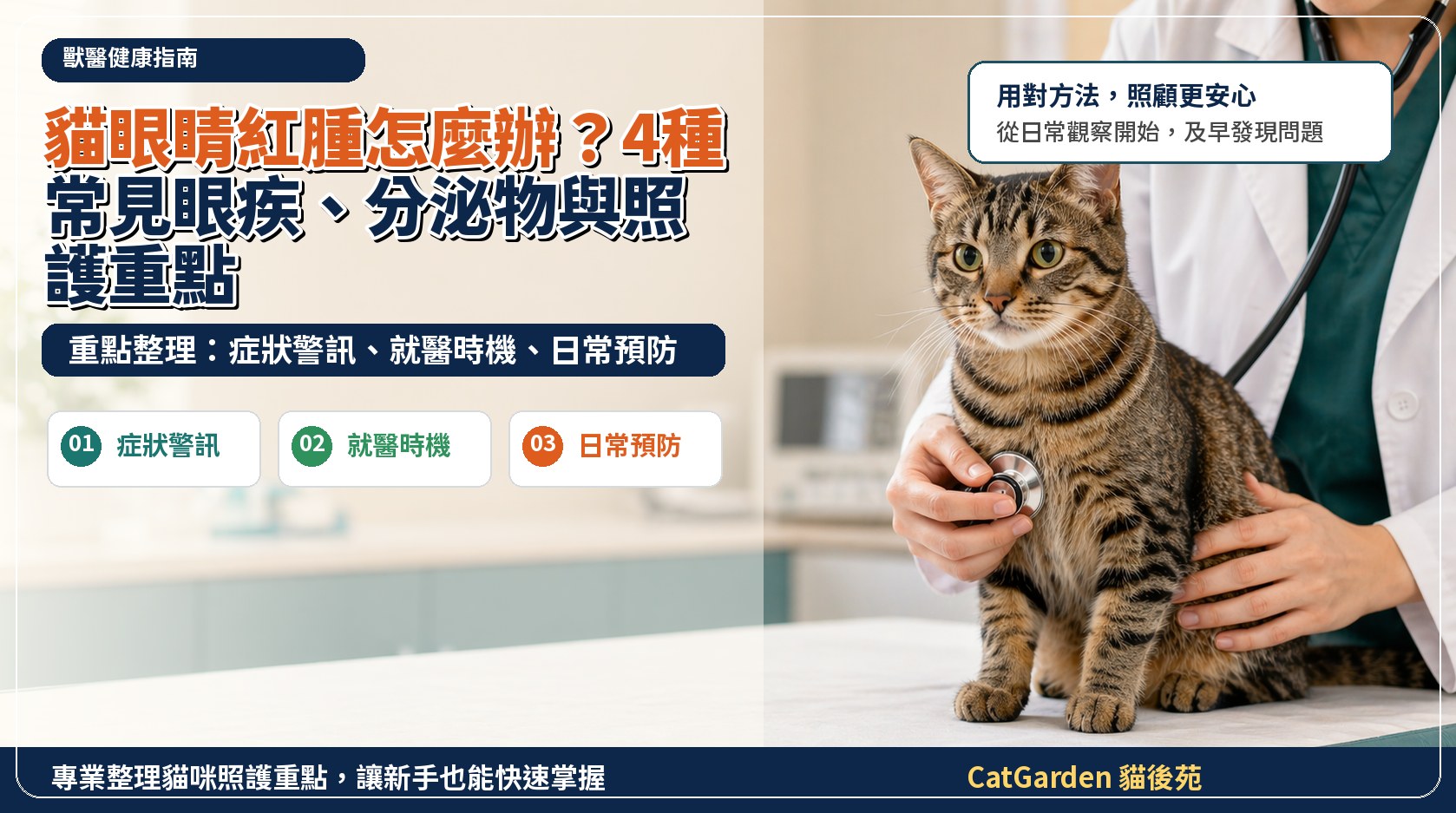 貓眼睛紅腫怎麼辦？4 種常見眼疾、分泌物與照護重點 封面圖