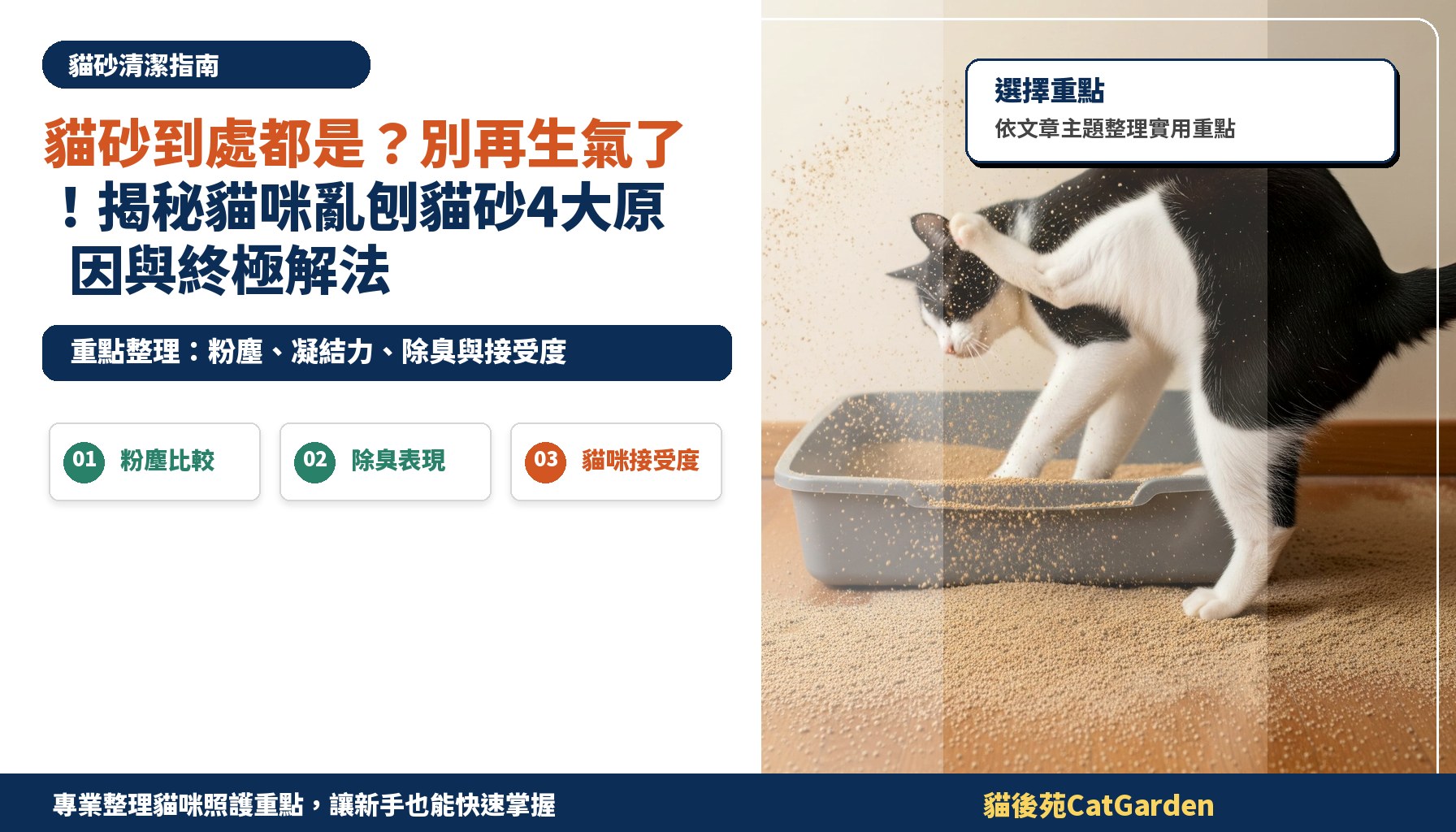 貓砂到處都是？別再生氣了！揭秘貓咪亂刨貓砂4大原因與終極解法