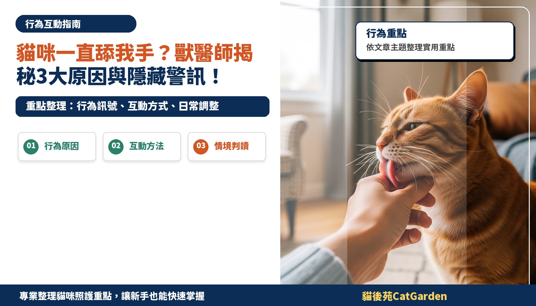 貓咪一直舔我手？獸醫師揭秘3大原因與隱藏警訊！