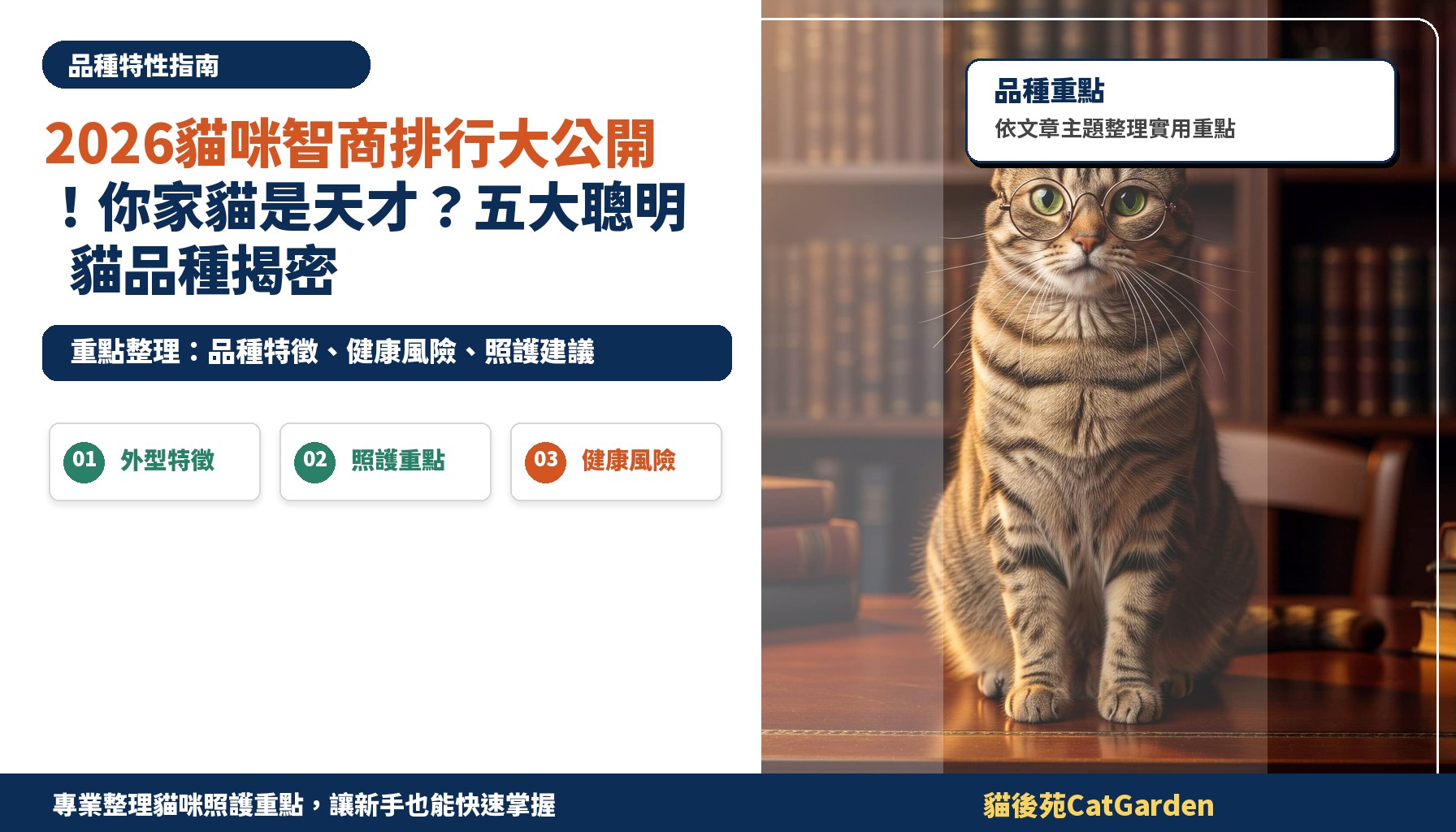 2026貓咪智商排行大公開！你家貓是天才？五大聰明貓品種揭密