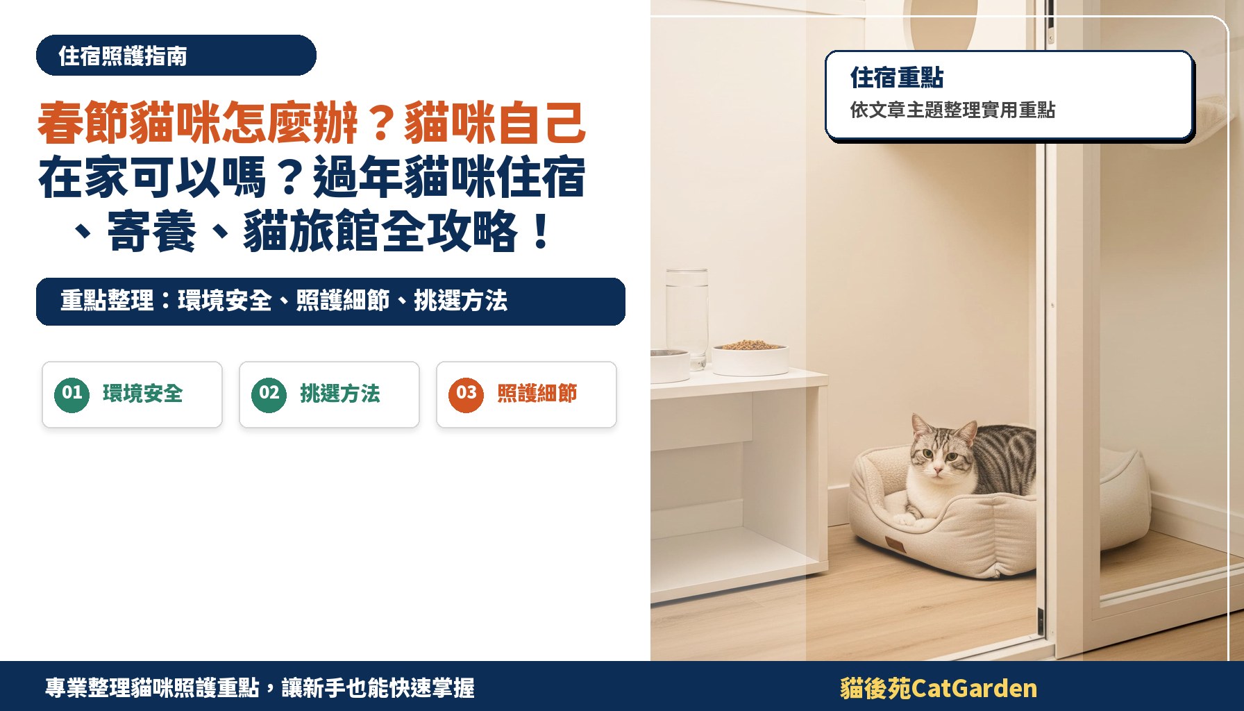 春節貓咪怎麼辦？貓咪自己在家可以嗎？過年貓咪住宿、寄養、貓旅館全攻略！