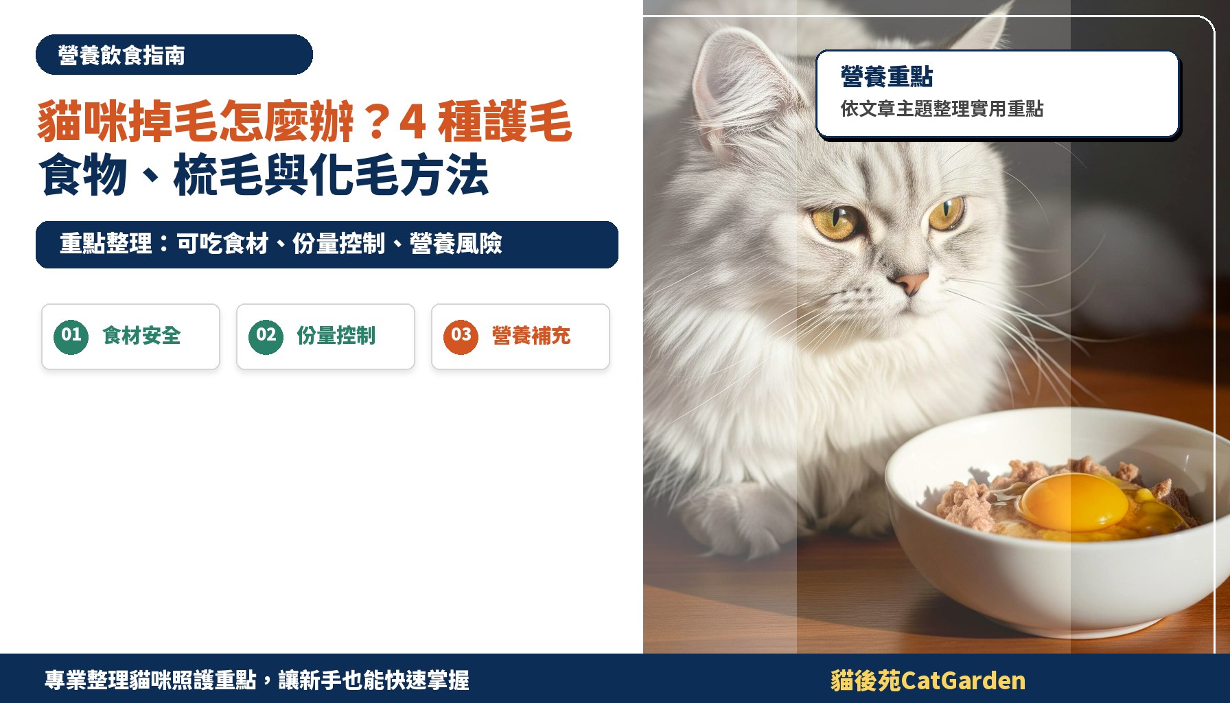 貓咪掉毛怎麼辦？4 種護毛食物、梳毛與化毛方法