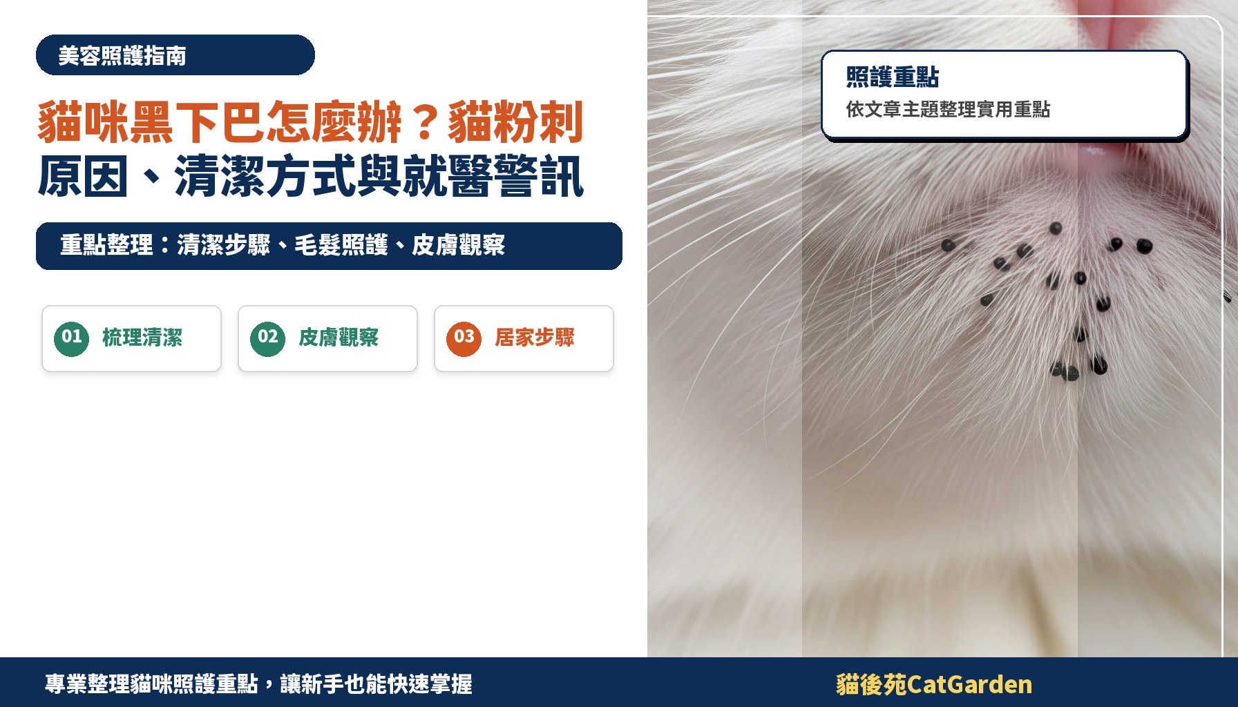 貓咪黑下巴怎麼辦？貓粉刺原因、清潔方式與就醫警訊