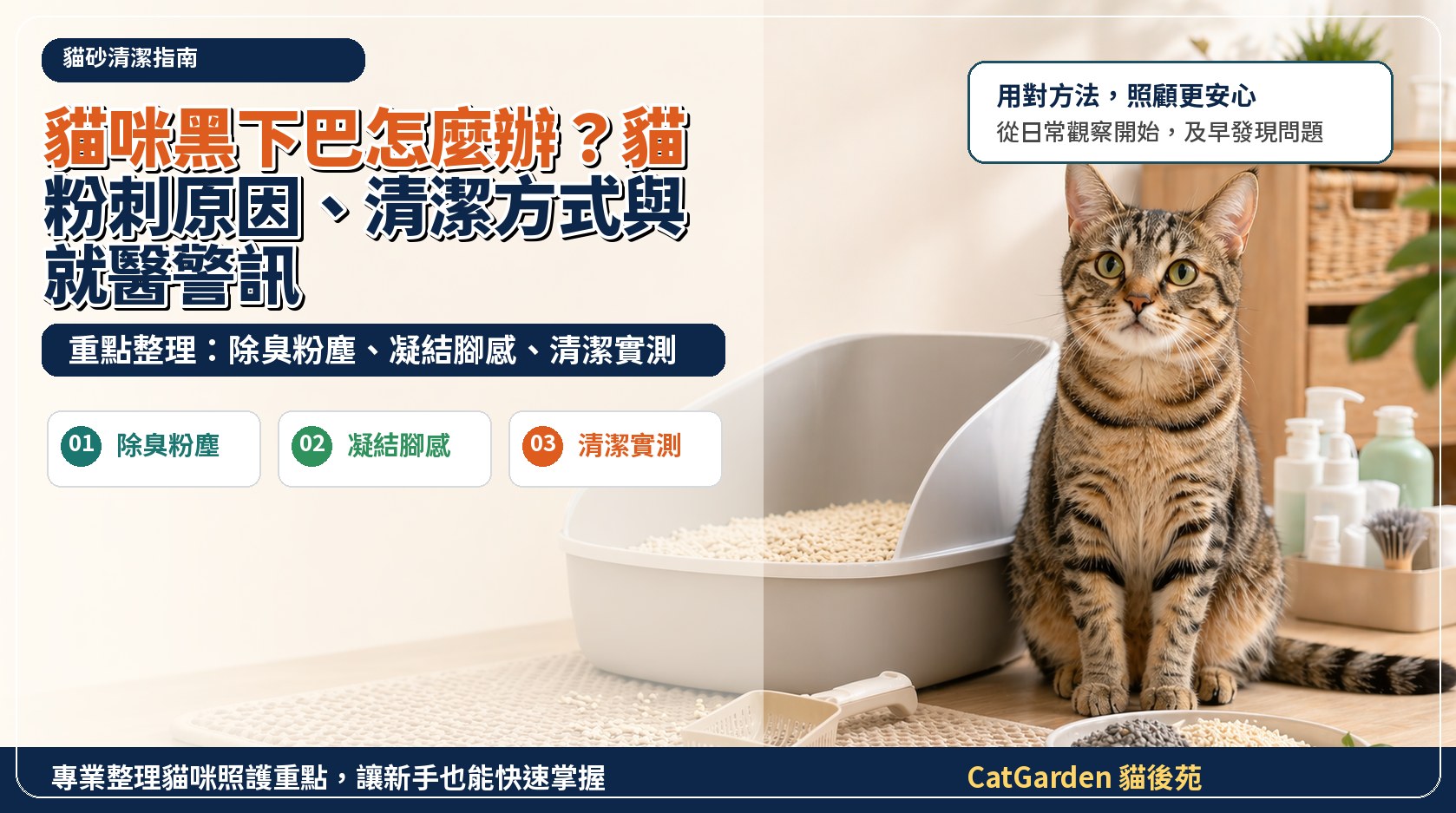 貓咪黑下巴怎麼辦？貓粉刺原因、清潔方式與就醫警訊 封面圖