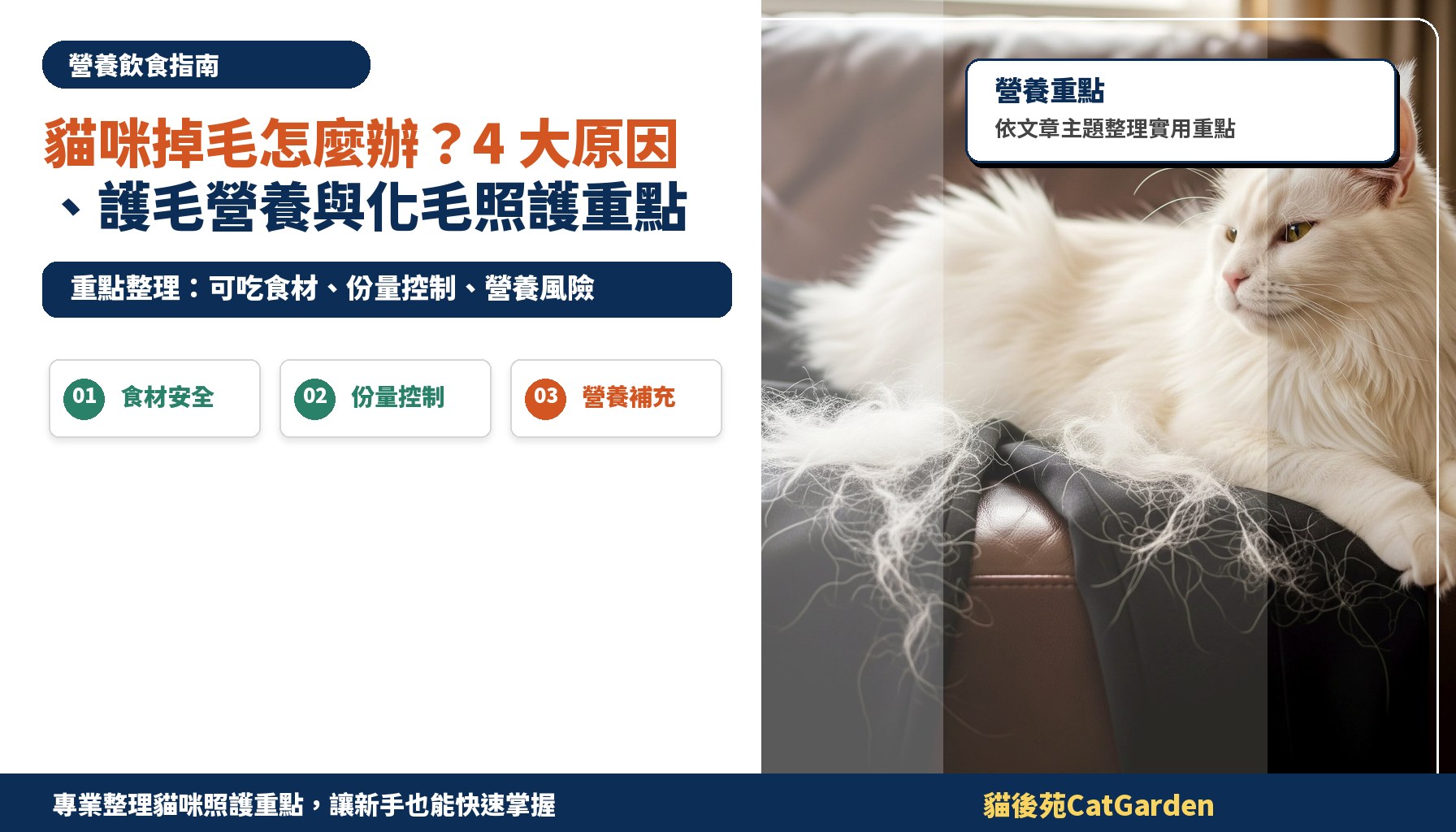 貓咪掉毛怎麼辦？4 大原因、護毛營養與化毛照護重點