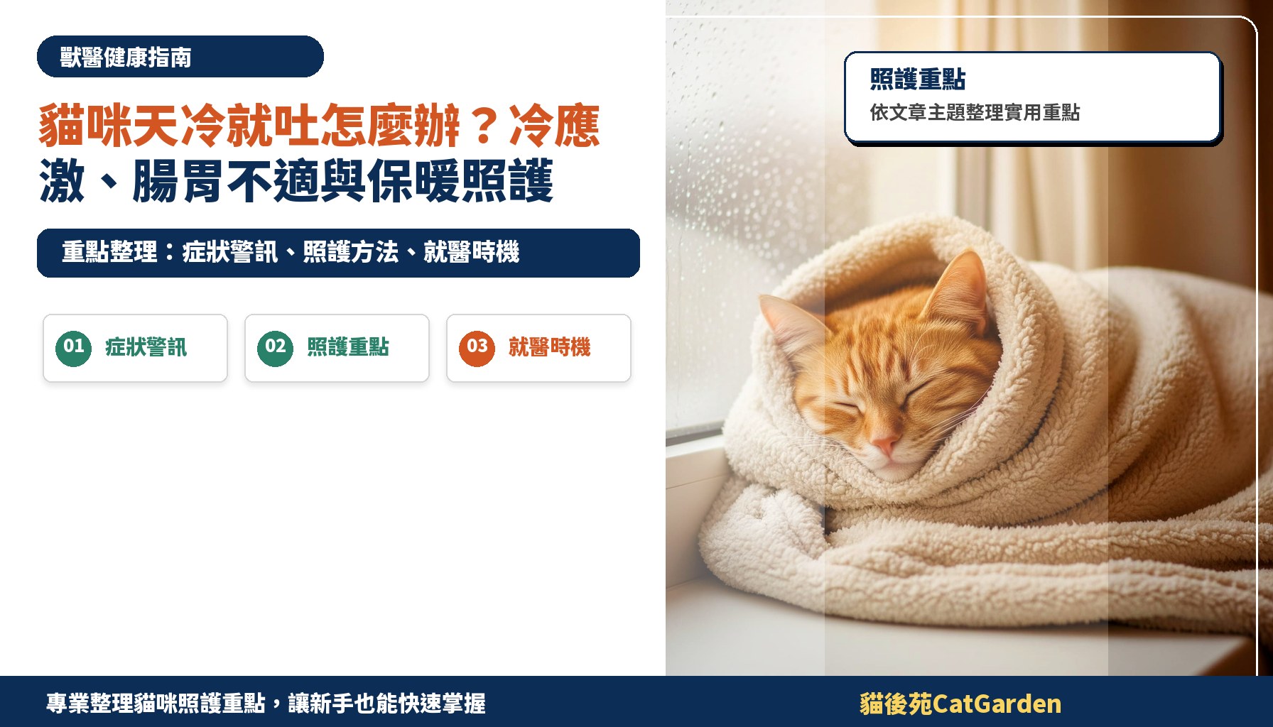 貓咪天冷就吐怎麼辦？冷應激、腸胃不適與保暖照護