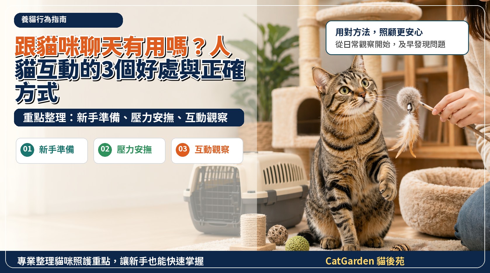 跟貓咪聊天有用嗎？人貓互動的 3 個好處與正確方式 封面圖