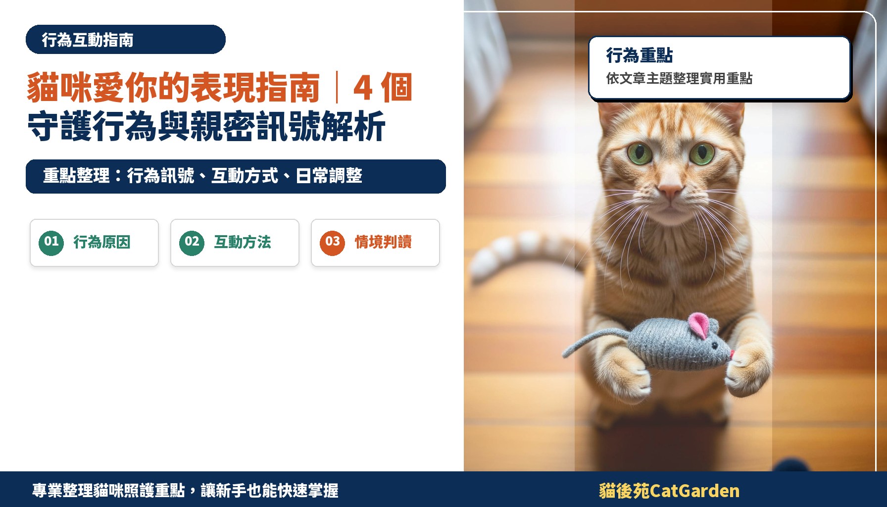 貓咪愛你的表現指南｜4 個守護行為與親密訊號解析