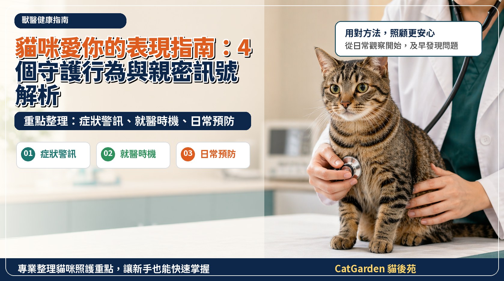 貓咪愛你的表現指南：4 個守護行為與親密訊號解析 封面圖