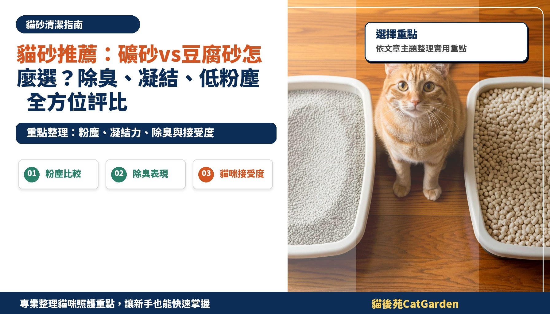 貓砂推薦：礦砂vs豆腐砂怎麼選？除臭、凝結、低粉塵全方位評比