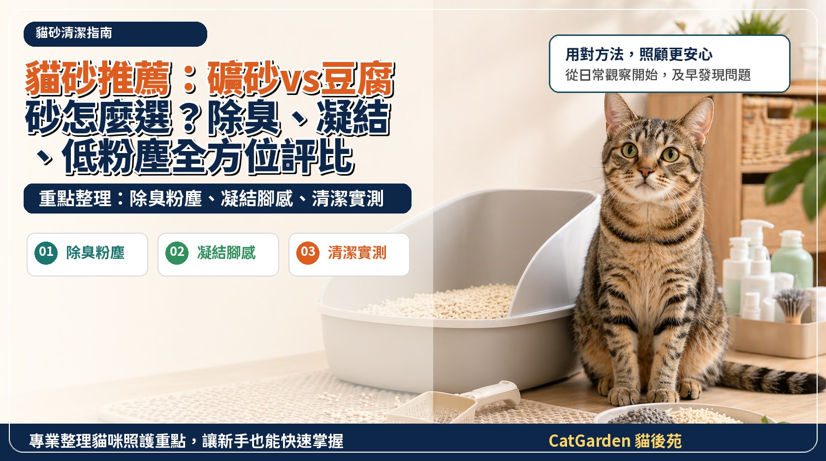 貓砂推薦：礦砂vs豆腐砂怎麼選？除臭、凝結、低粉塵全方位評比 封面圖
