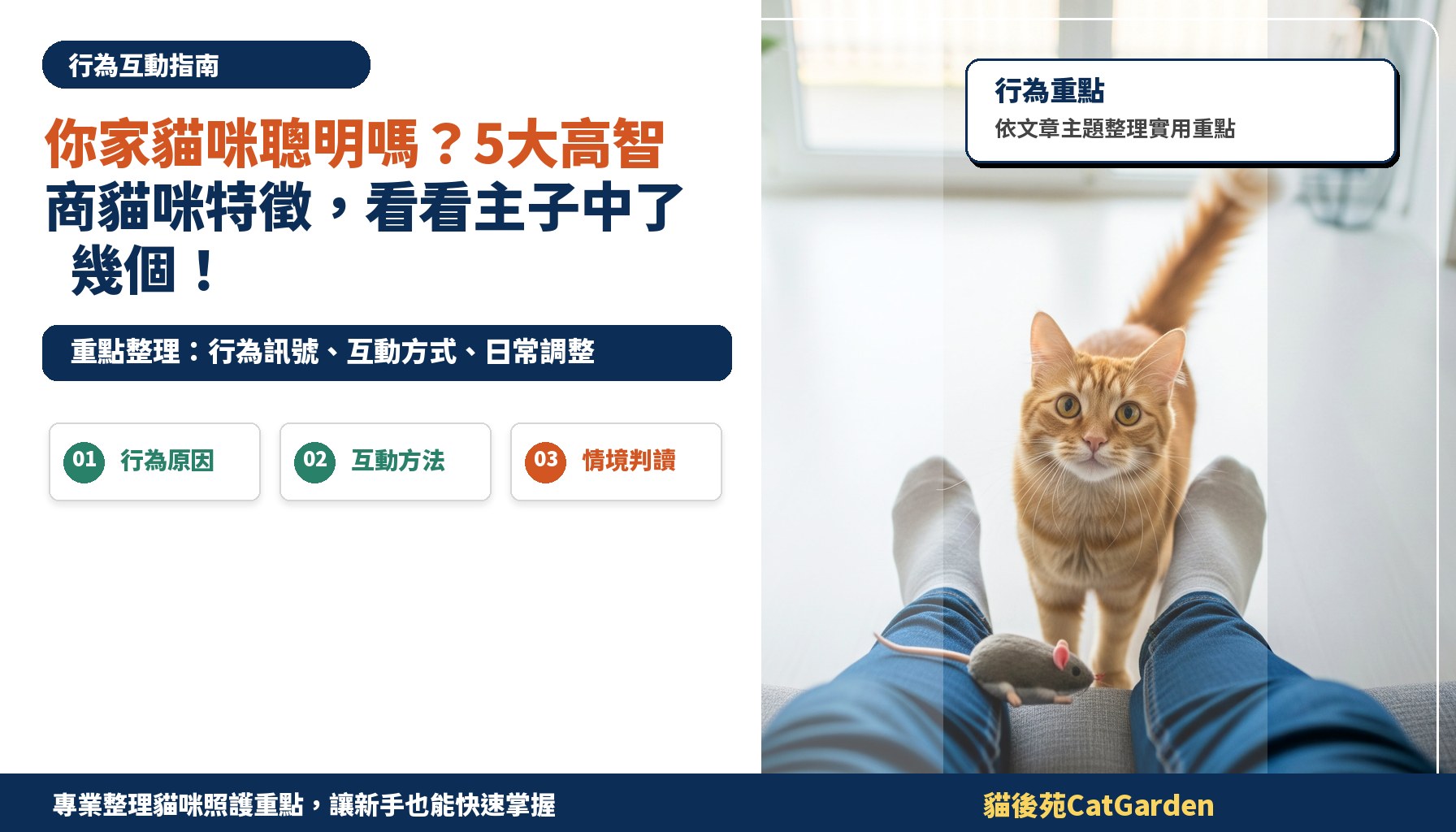 你家貓咪聰明嗎？5大高智商貓咪特徵，看看主子中了幾個！