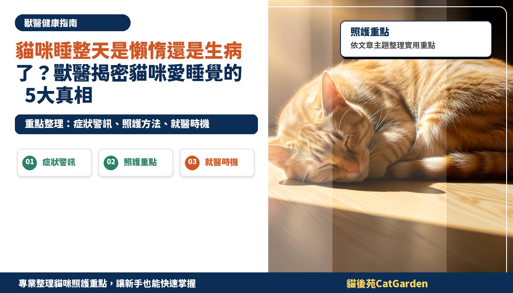 貓咪睡整天是懶惰還是生病了？獸醫揭密貓咪愛睡覺的5大真相