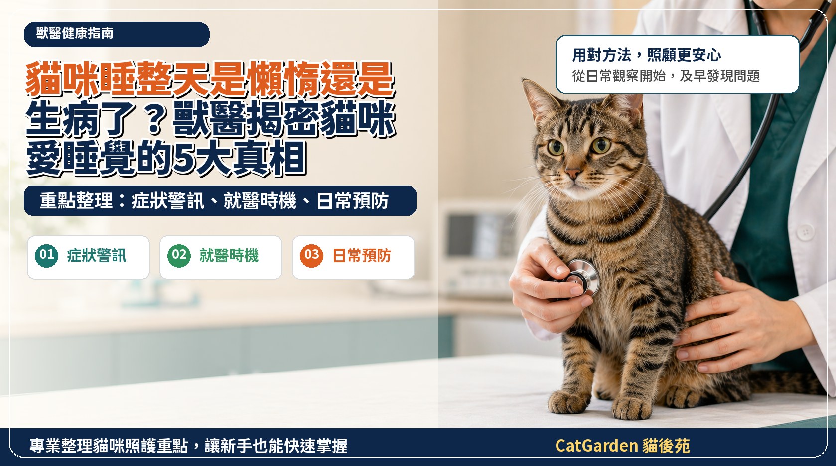 貓咪睡整天是懶惰還是生病了？獸醫揭密貓咪愛睡覺的5大真相 封面圖