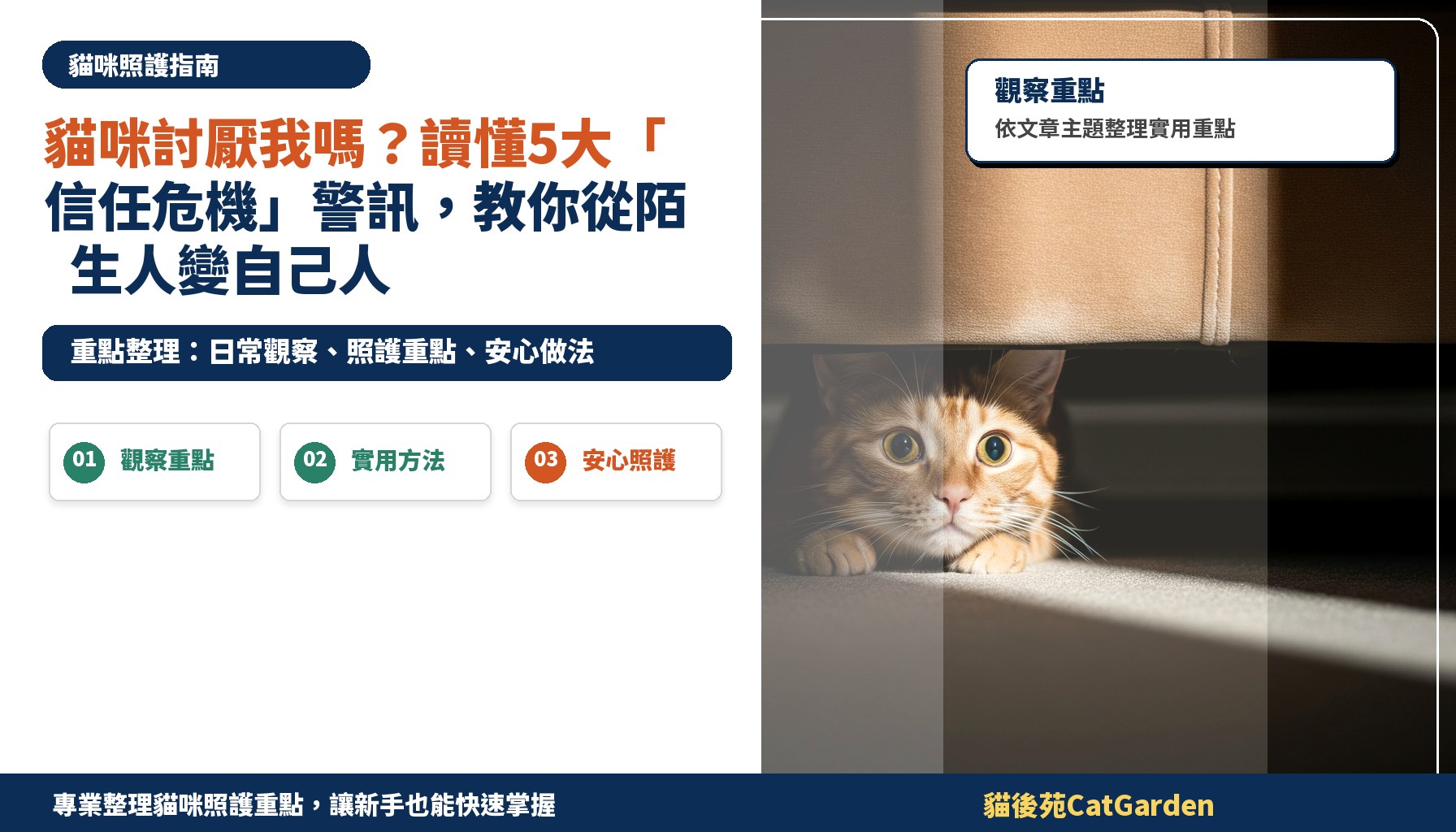 貓咪討厭我嗎？讀懂5大「信任危機」警訊，教你從陌生人變自己人