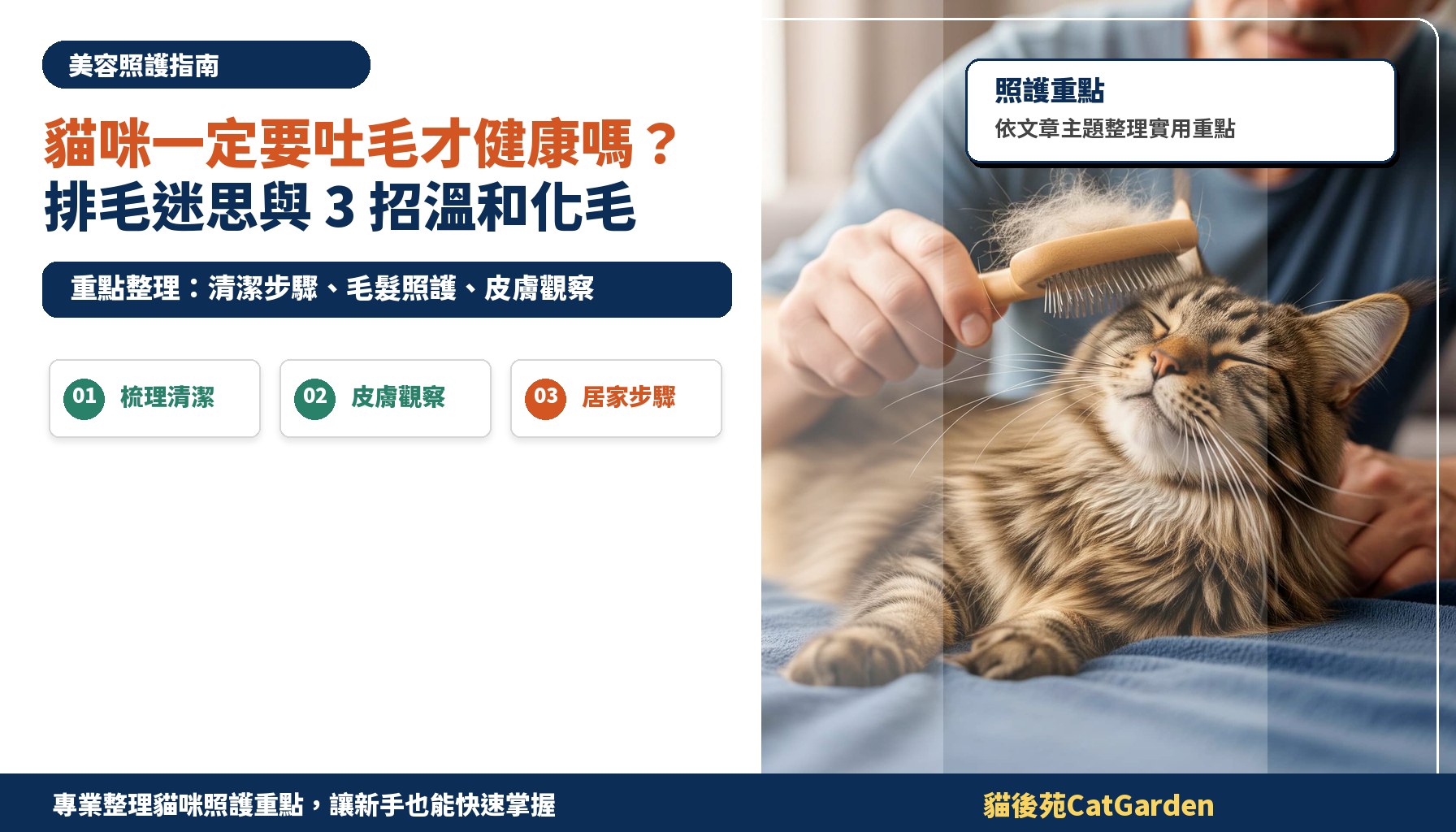 貓咪一定要吐毛才健康嗎？排毛迷思與 3 招溫和化毛