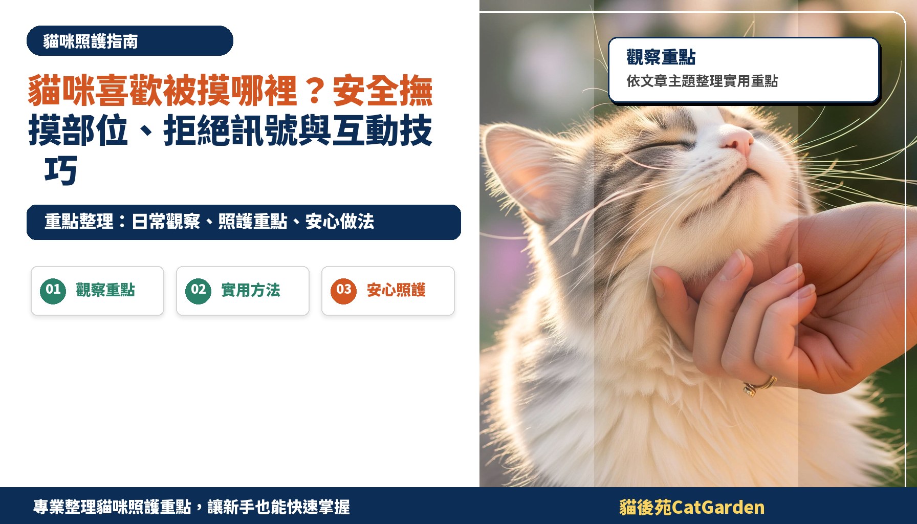 貓咪喜歡被摸哪裡？安全撫摸部位、拒絕訊號與互動技巧