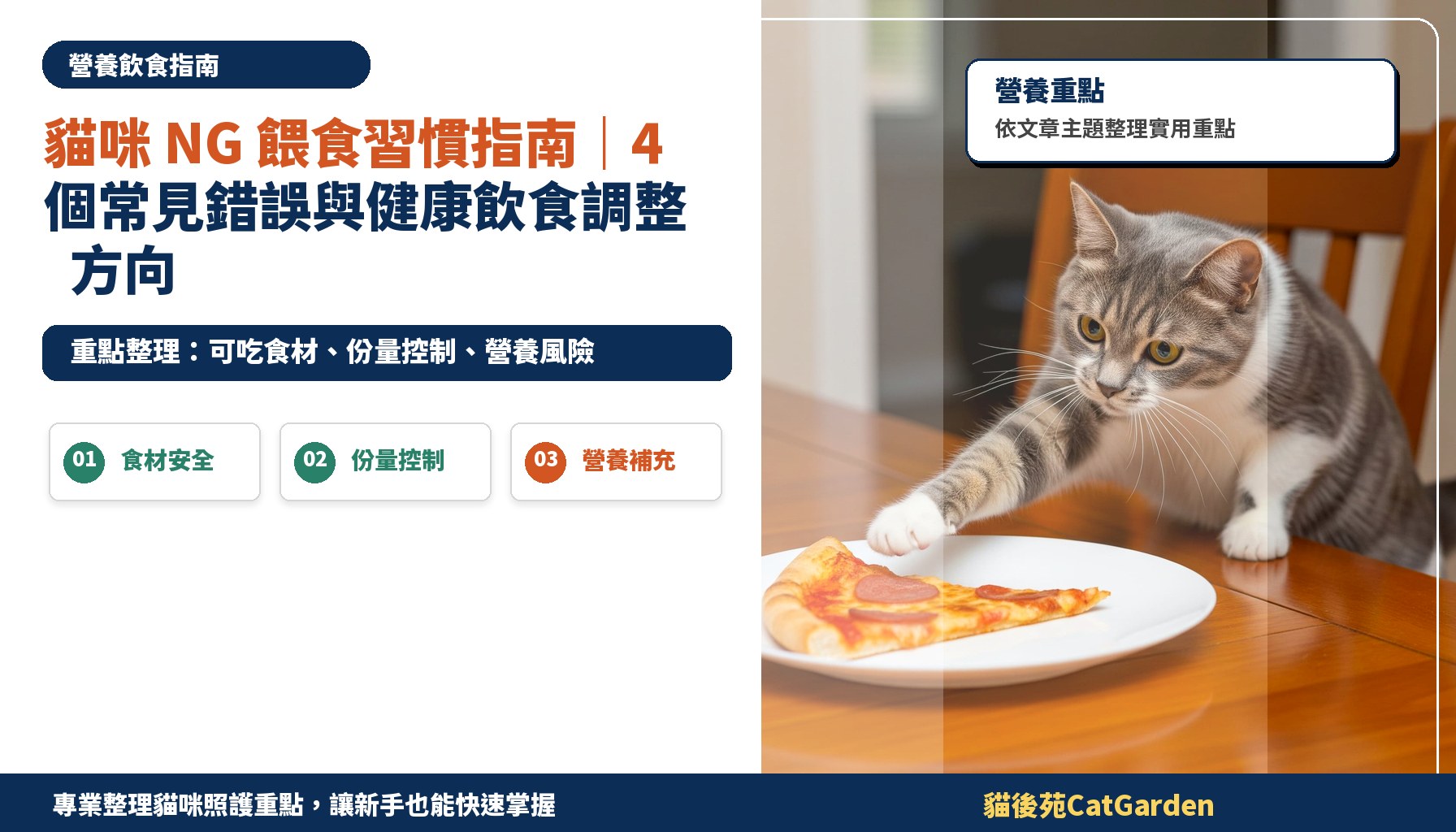 貓咪 NG 餵食習慣指南｜4 個常見錯誤與健康飲食調整方向
