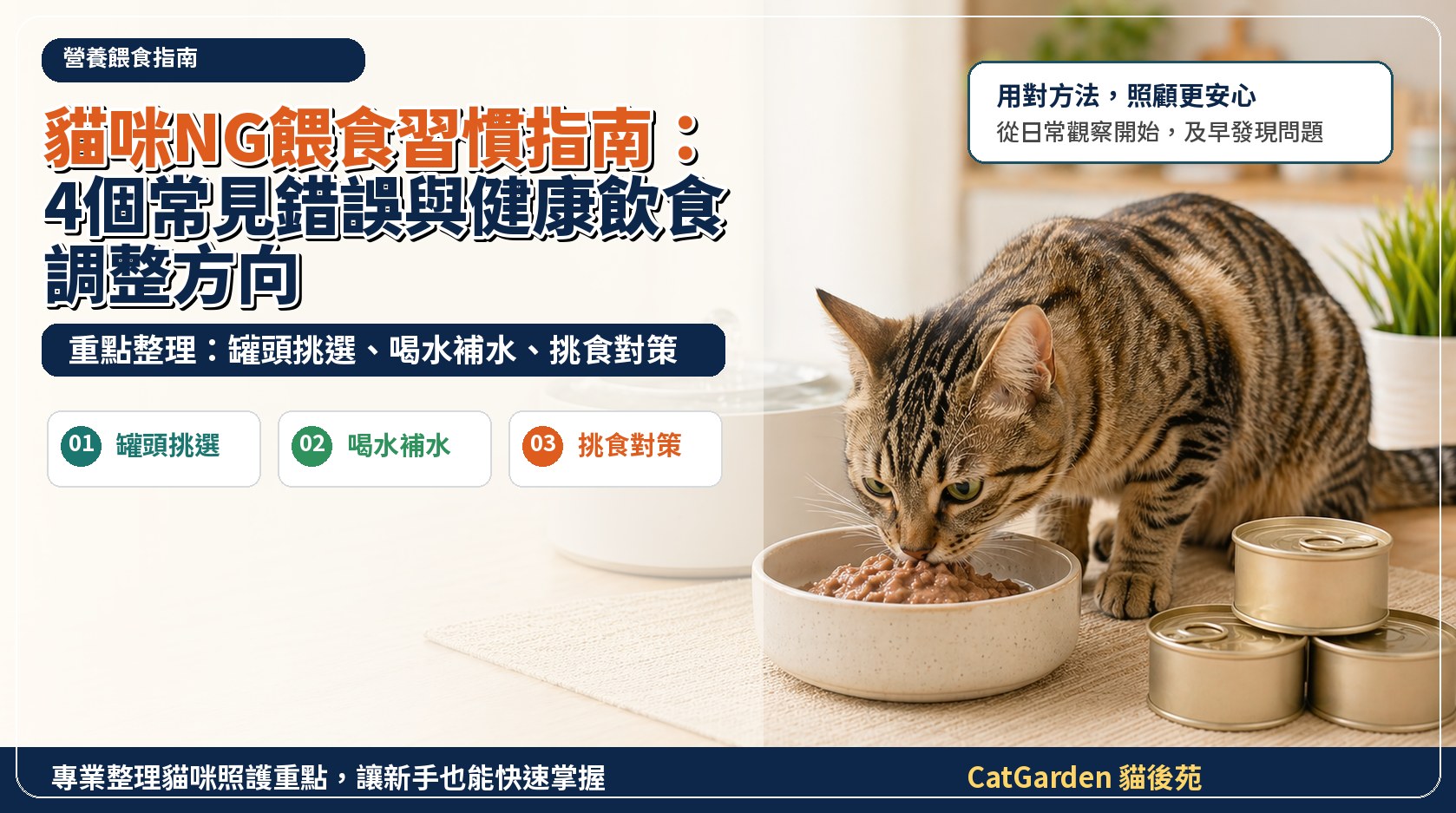 貓咪 NG 餵食習慣指南：4 個常見錯誤與健康飲食調整方向 封面圖